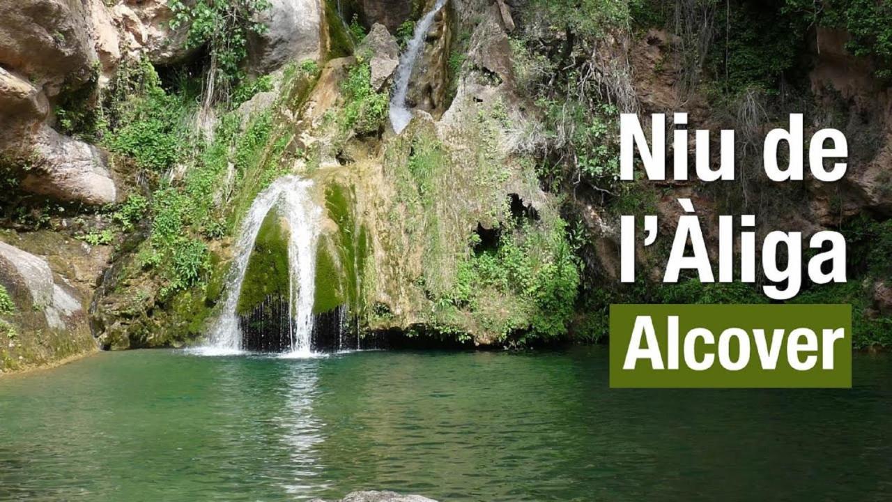 مبيت وإفطار Alcover Mas Rosich المظهر الخارجي الصورة
